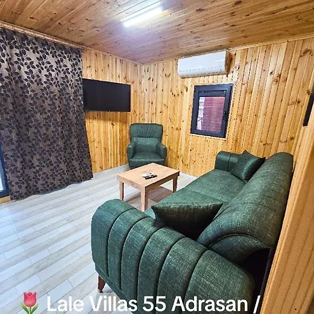Lale 55 *